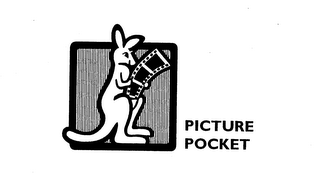 PICTURE POCKET logo