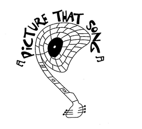PICTURE THAT SONG 8 0 0 logo