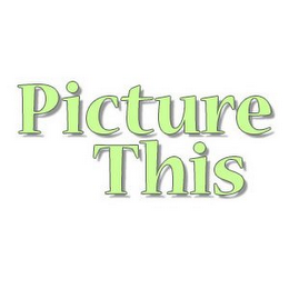 PICTURE THIS logo