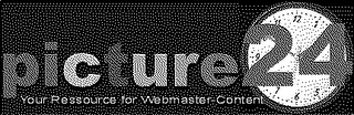 PICTURE24 logo