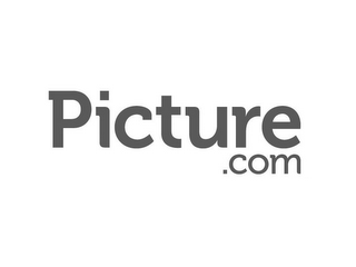 PICTURE.COM logo