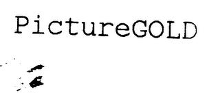 PICTUREGOLD logo