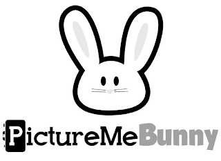 PICTUREMEBUNNY logo