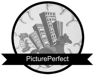 PICTUREPERFECT logo