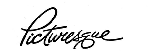 PICTURESQUE logo