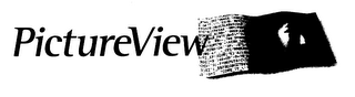 PICTUREVIEW logo