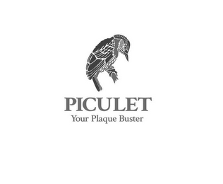 PICULET YOUR PLAQUE BUSTER logo