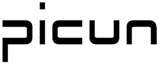 PICUN logo