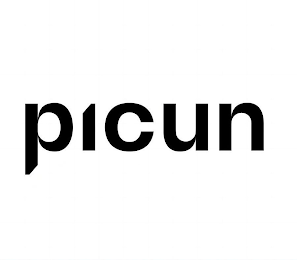 PICUN logo