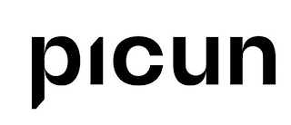 PICUN logo