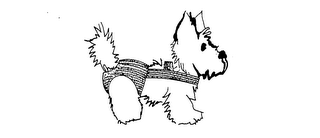 PIDDLE PANTS logo