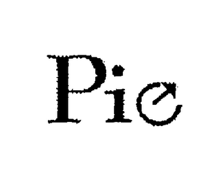 PIE logo