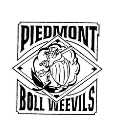 PIEDMONT BOLL WEEVILS logo