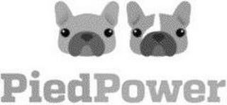 PIEDPOWER logo