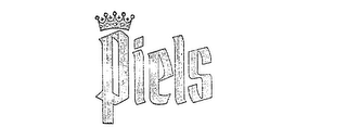PIELS logo