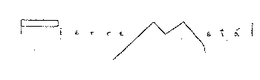 PIERRE METÁL logo