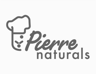 PIERRE NATURALS logo