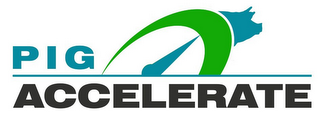 PIG ACCELERATE logo