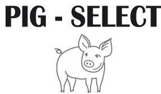 PIG - SELECT logo