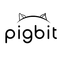 PIGBIT logo