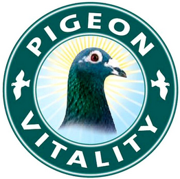 PIGEON VITALITY logo