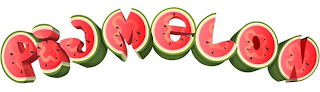 PIGMELON logo