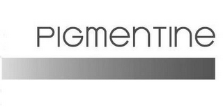 PIGMENTINE logo