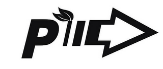 PII logo