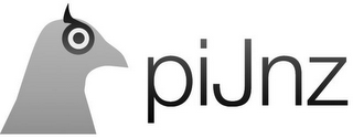 PIJNZ logo