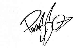 PIKASSO logo