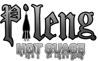 PILENG HOT SUACE VB logo
