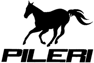 PILERI logo