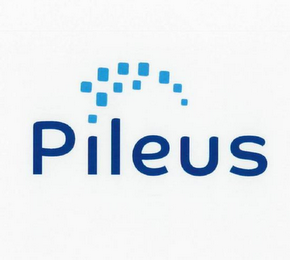 PILEUS logo