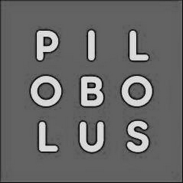 PILOBOLUS logo