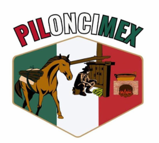 PILONCIMEX logo