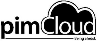 PIMCLOUD BEING AHEAD. logo