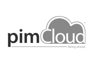 PIMCLOUD BEING AHEAD logo