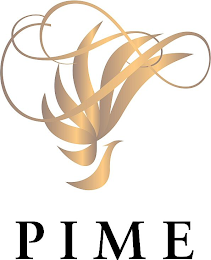 PIME logo