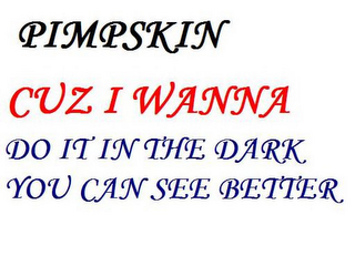 PIMPSKIN  CUZ I WANNA  DO IT IN THE DARK YOU CAN SEE BETTER logo