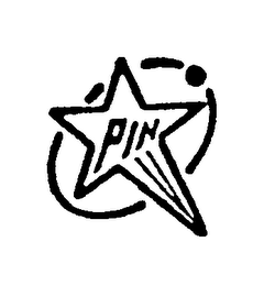 PIN logo