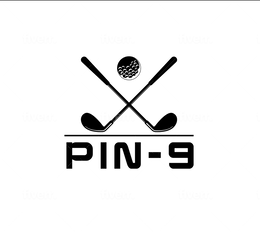 PIN-9 logo