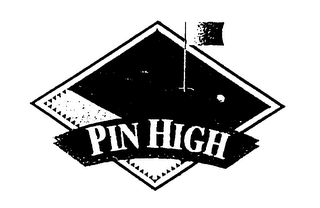 PIN HIGH logo