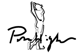 PIN HIGH logo