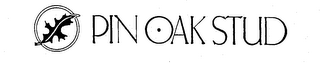 PIN OAK STUD logo