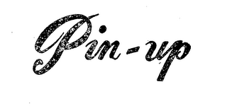 PIN UP logo