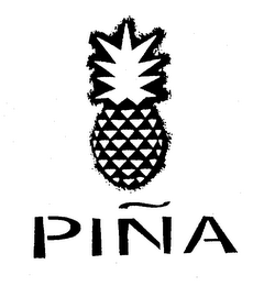 PINA logo