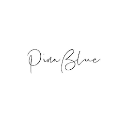 PINA BLUE logo