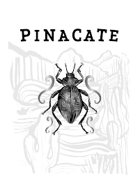 PINACATE logo
