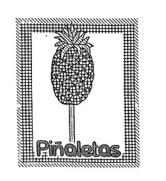 PINALETAS logo