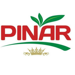 PINAR logo